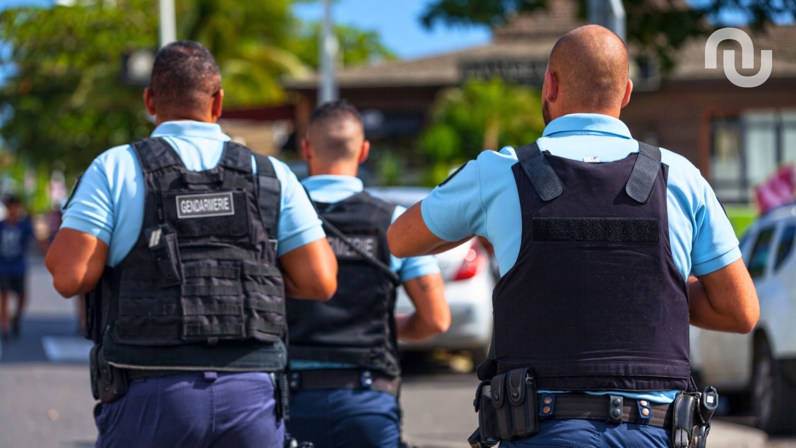 Why removal of the French crypto entrepreneur mobilized Gign